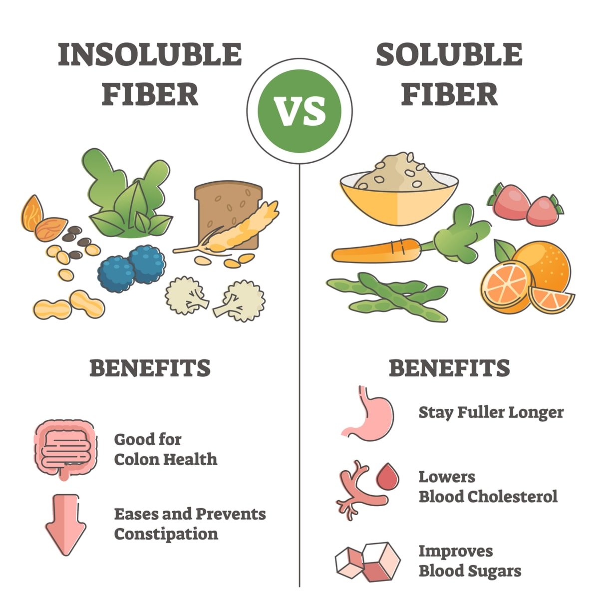 Soluble and insoluble fiber
