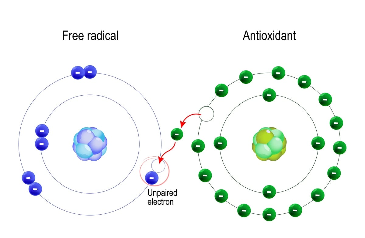 What is a free radical?