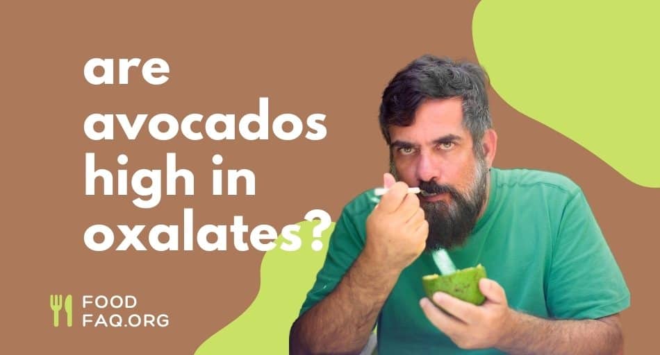 Is Avocado High in Oxalates?