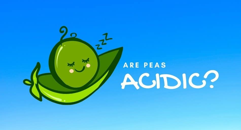 Are Peas Acidic