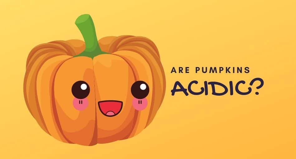 Are Pumpkins Acidic