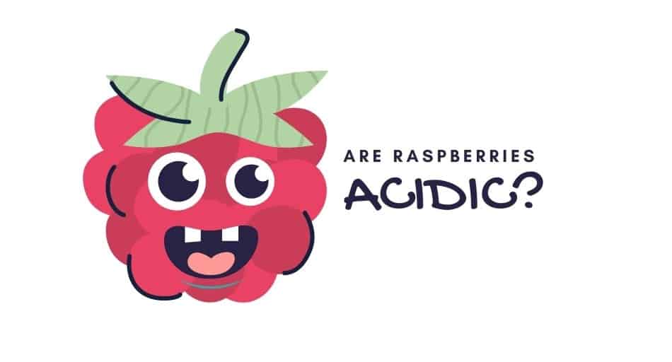 Are Raspberries Acidic? (Health Benefits)