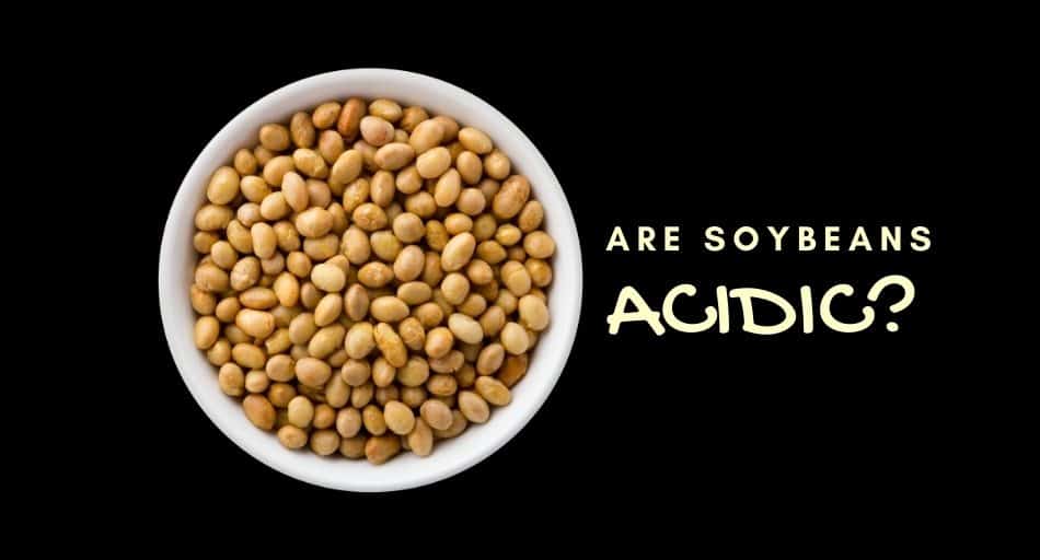 Are Soybeans Acidic?