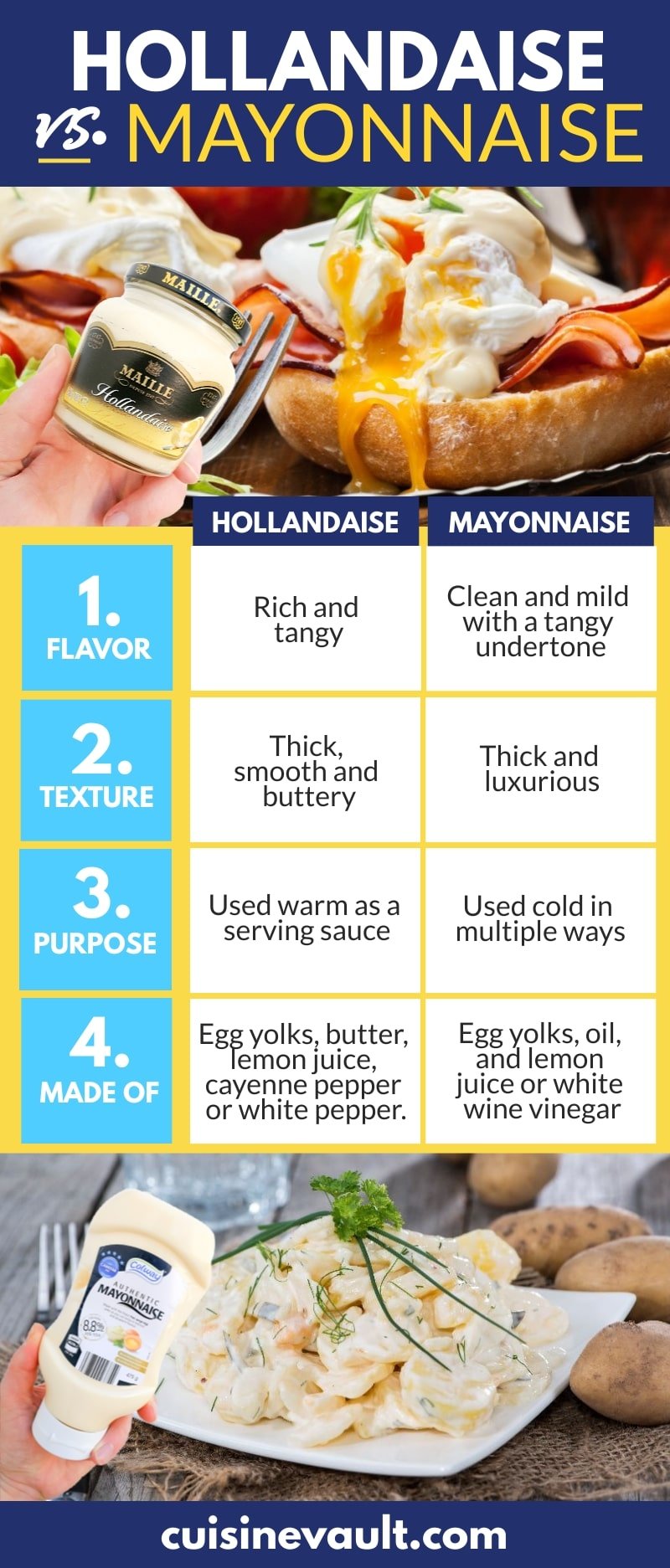Infographic comparing hollandaise and mayonnaise