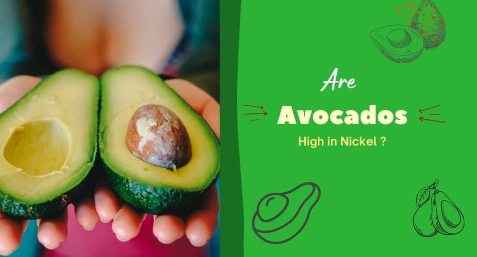 Is Avocado High in Nickel?