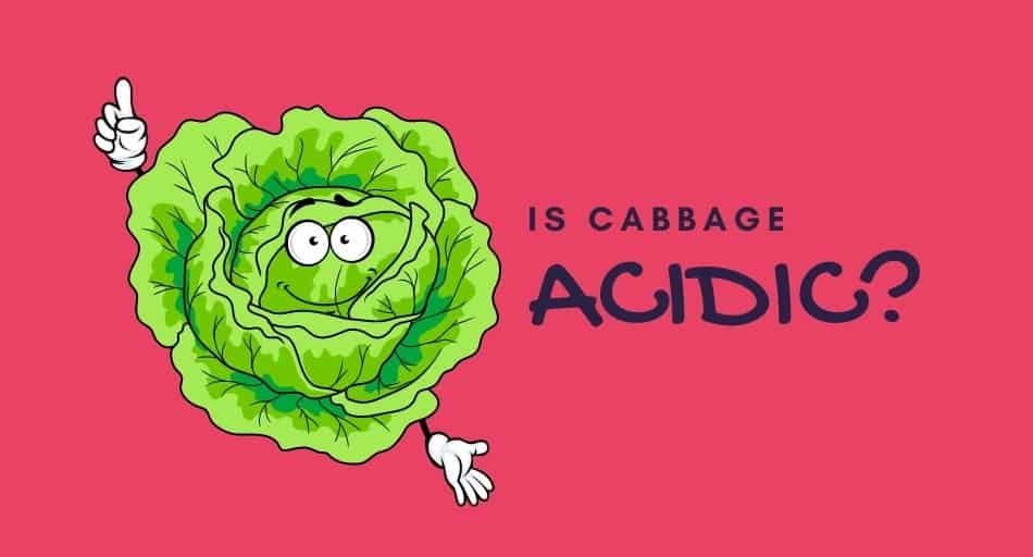 Is Cabbage Acidic?