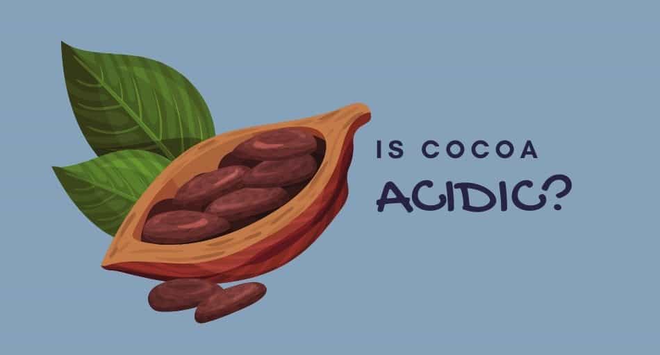 Is Cocoa Acidic?