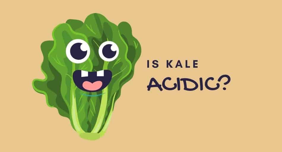 Is Kale Acidic?