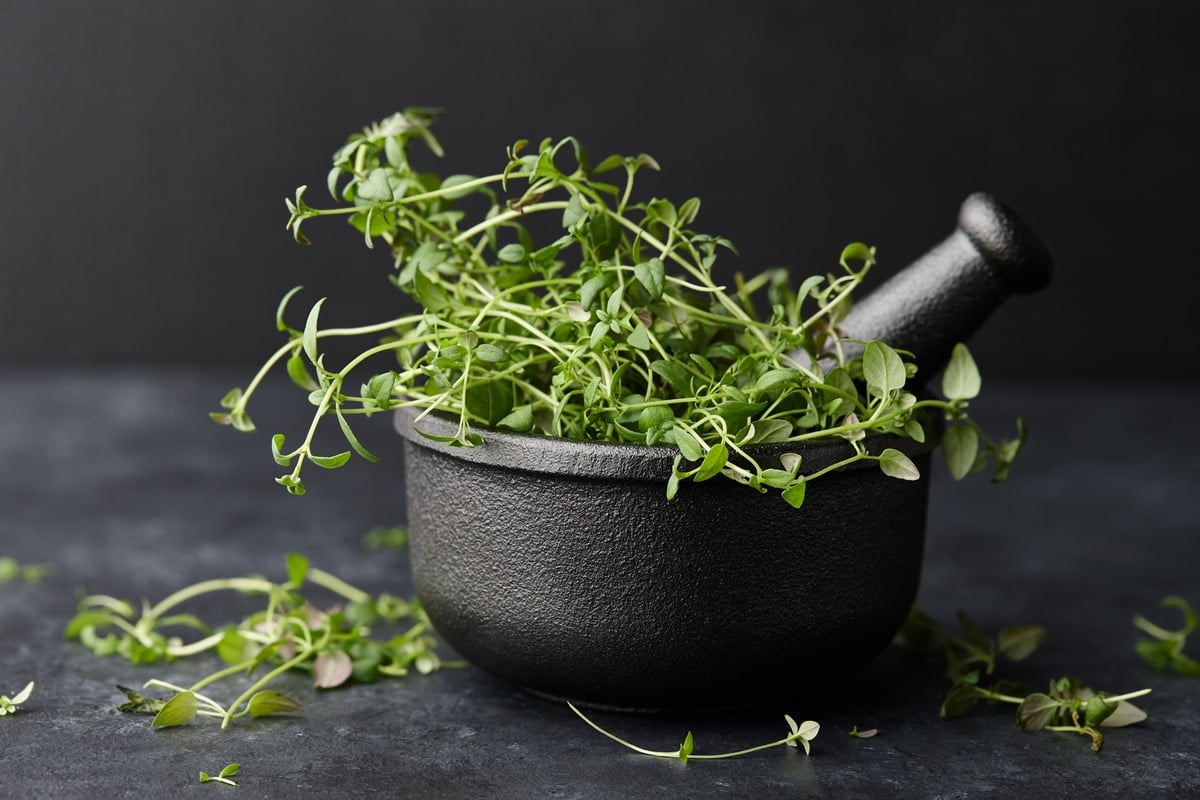 cast iron spice grinder