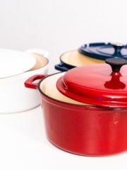 Regular vs Enameled Cast Iron: Which is Best? Plus Pros and Cons