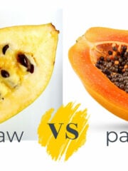 Pawpaw Vs Papaya - What's The Difference?