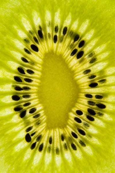 A thin slice of kiwi