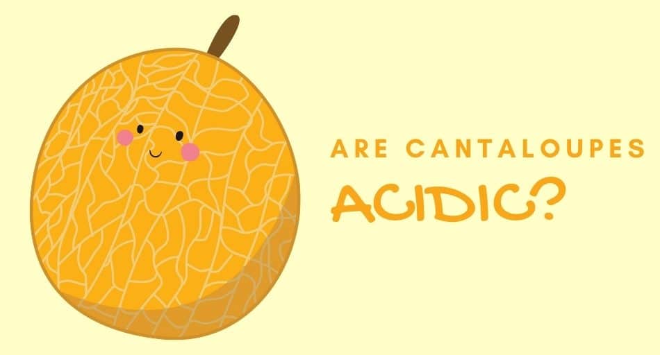 Are Cantaloupes Acidic?