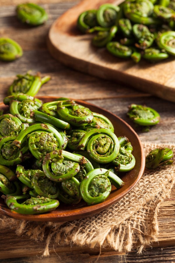 Sauteed fiddleheads ready to eat