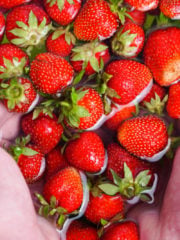 How To Wash Strawberries + Handy Tips