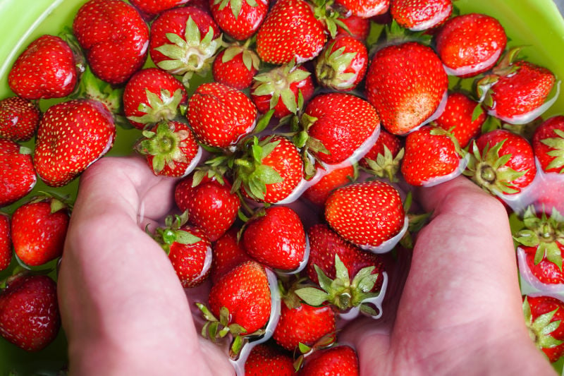 Washing strawberries in a bowl