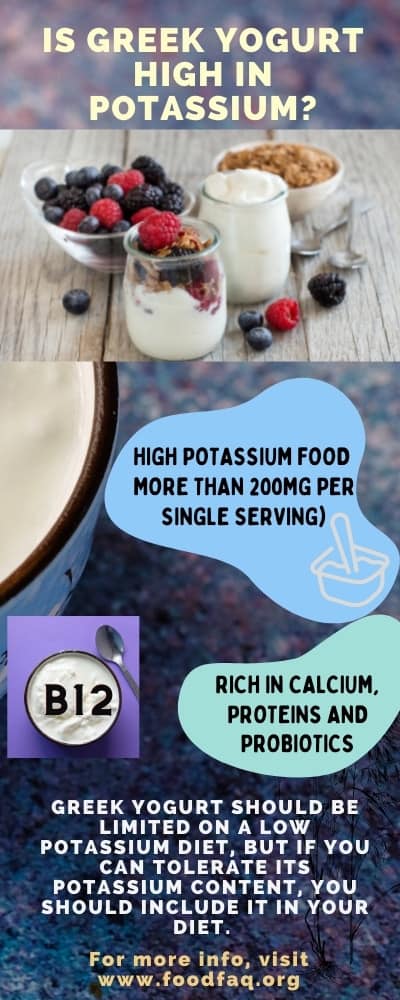 Is Greek Yogurt High in Potassium? Infographic