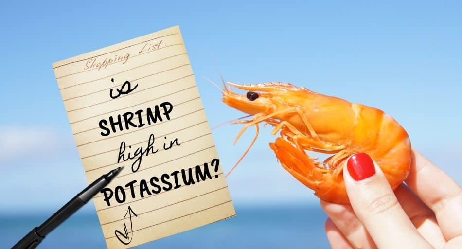 is shrimp high in potassium