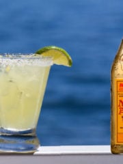 11 Best Substitutes For Mezcal In Cocktails