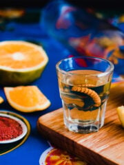 11 Best Substitutes For Mezcal In Cocktails