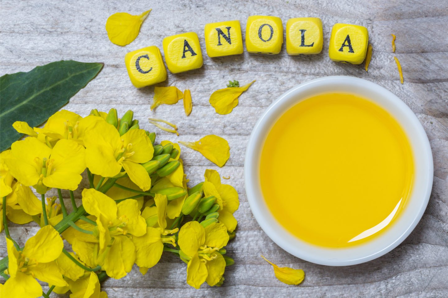 bowl of canola oil beside canola flowers