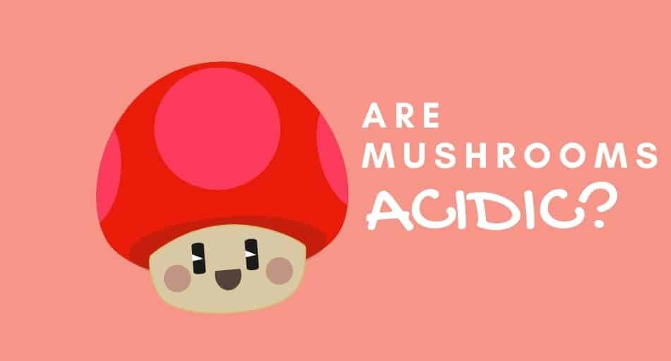 Are Mushrooms Acidic or Alkaline?