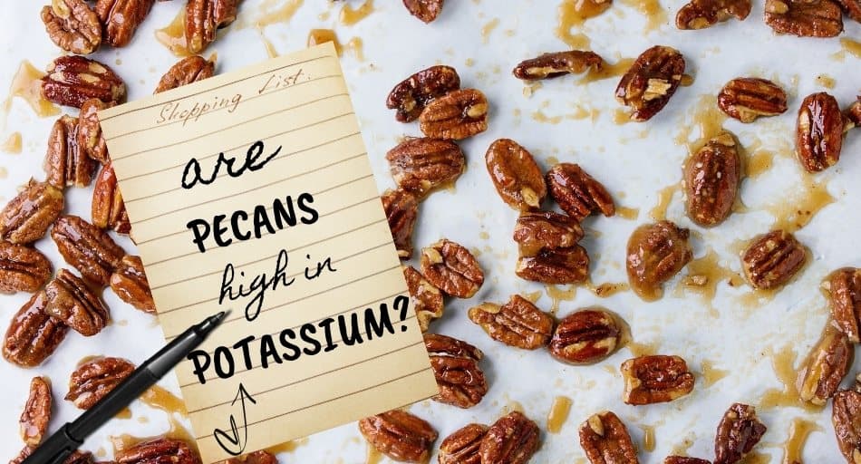 Are Pecans High In Potassium?