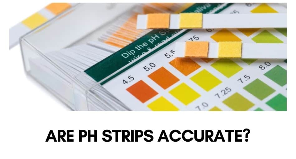 Are pH Strips Accurate?