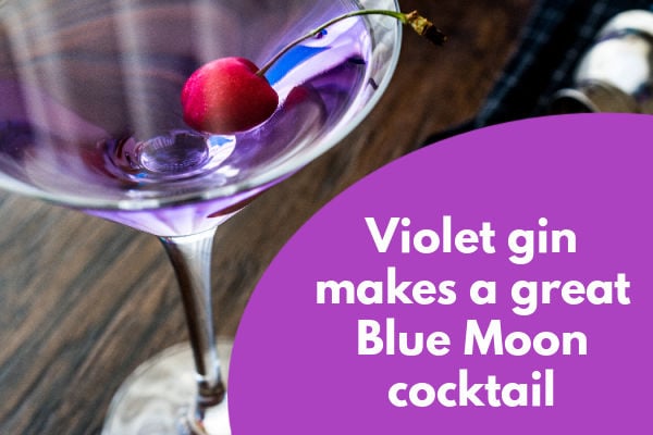 A fact about Violet Gin