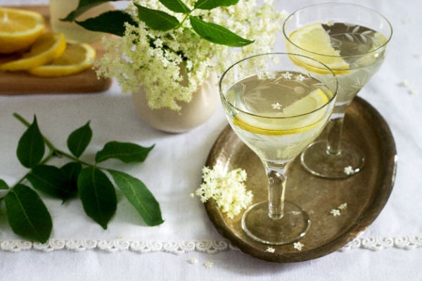 Homemade elderflower liqueur in a glass