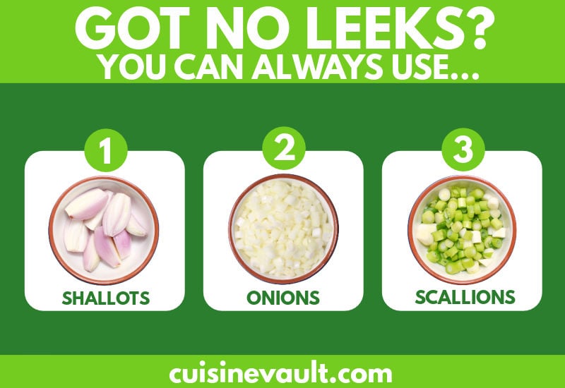 Leek substitute infographic