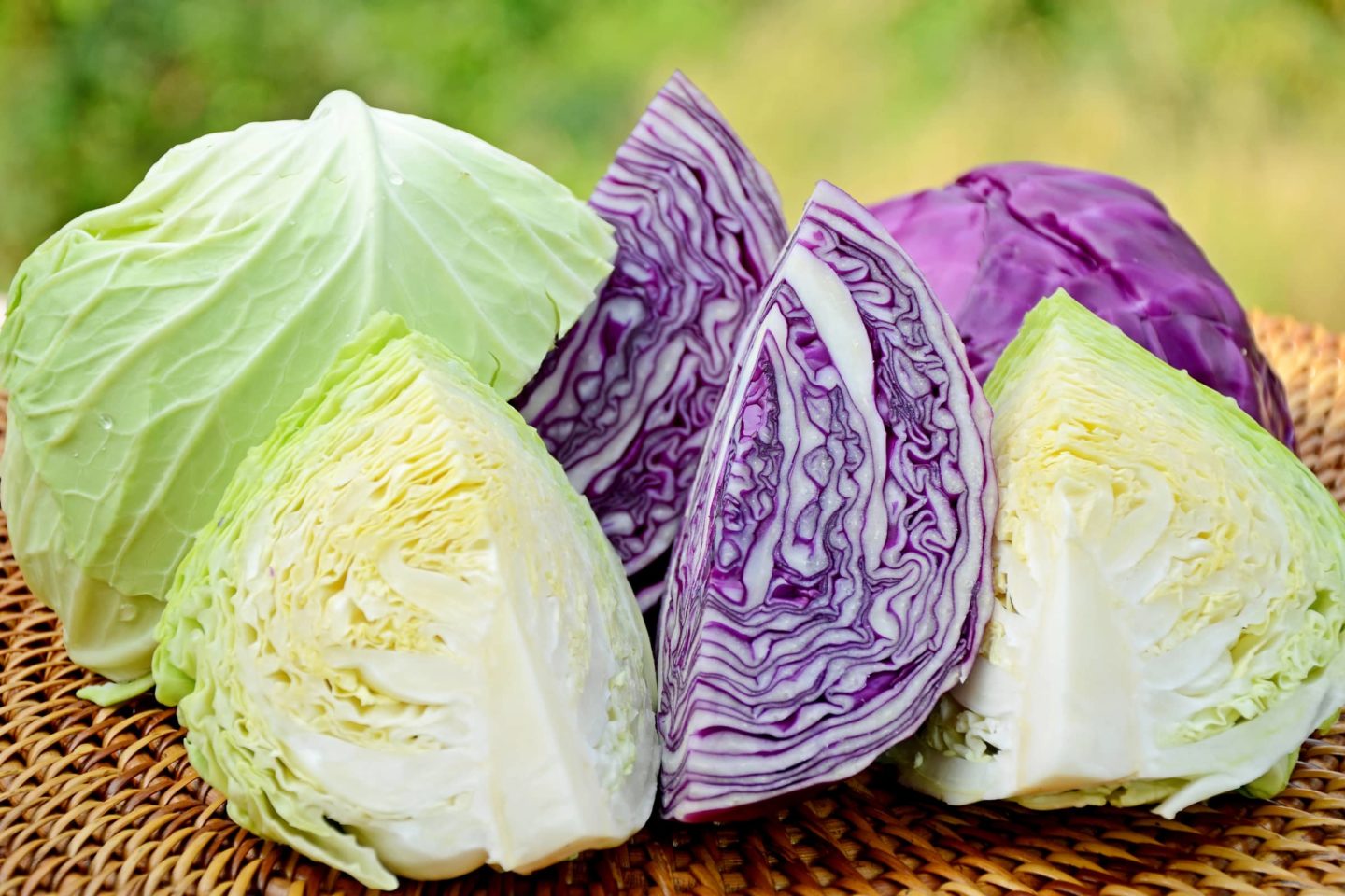 green and purple cabbages