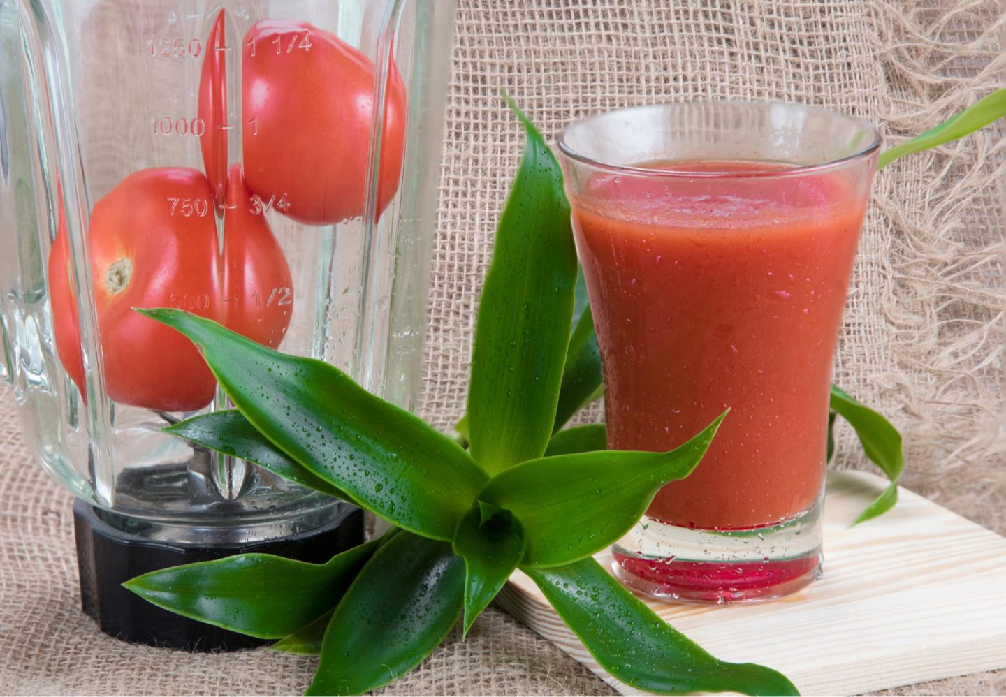 making tomato juice using a blender