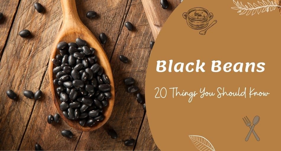 Black Beans: 20 Things You Should Know