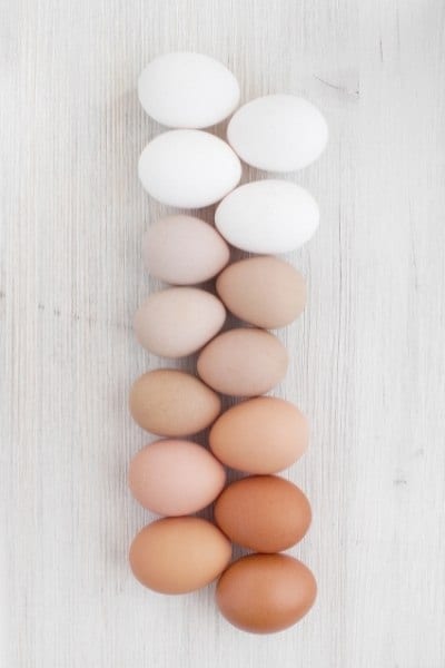 Various Eggs On The Wooden Table