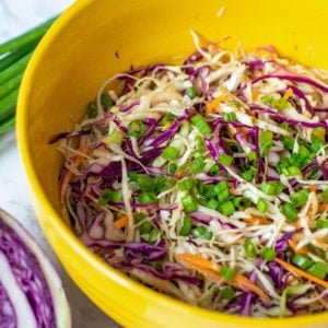 a bowl of keto coleslaw with sugar free no mayo dressing