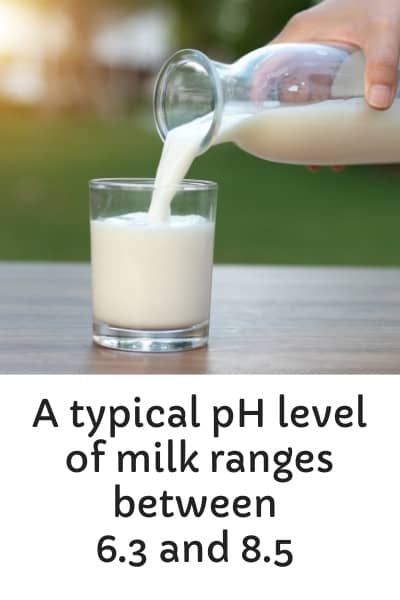 A typical pH level of milk ranges between 6.3-8.5