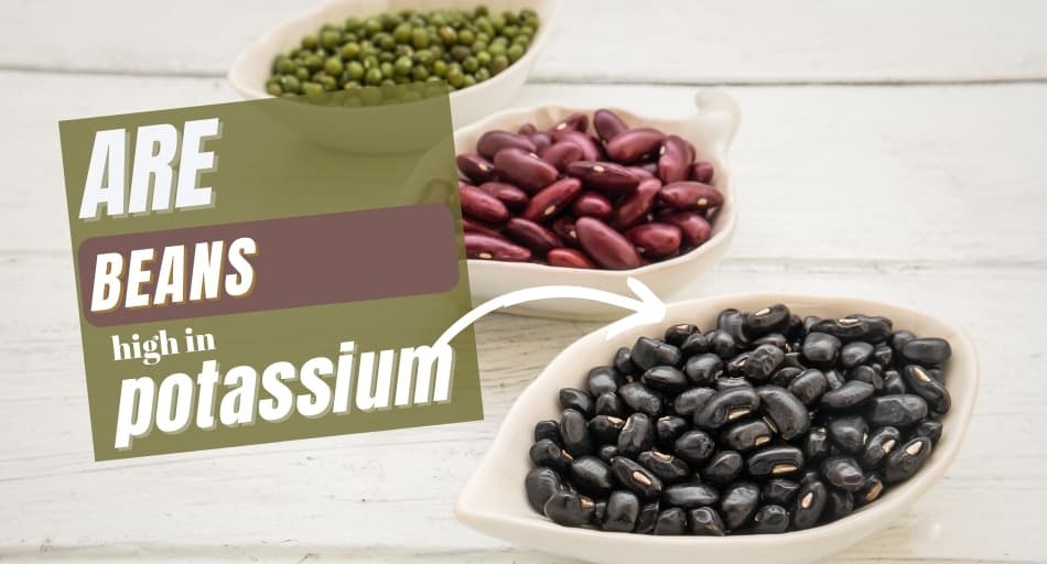 Are Beans High In Potassium?