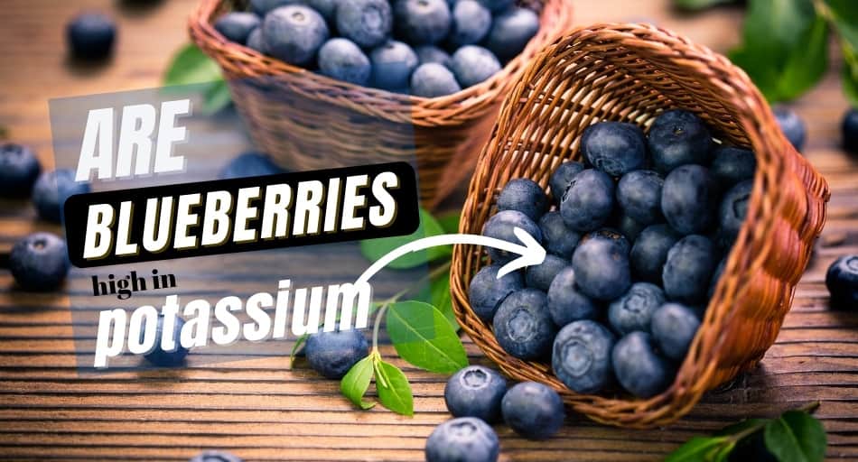 Are Blueberries High In Potassium