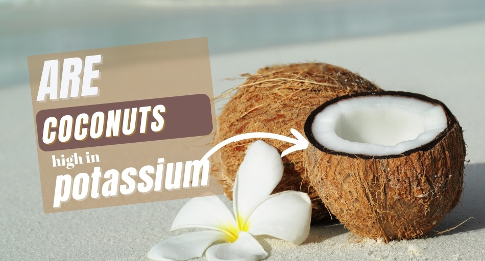 Is Coconut High in Potassium? Tastylicious