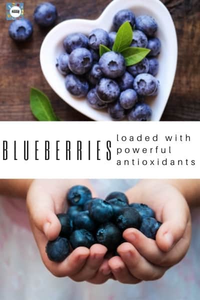 Blueberries contain a lot of antioxidants