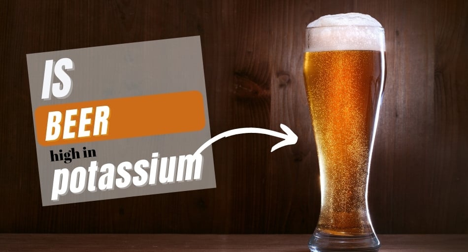Is Beer High In Potassium? (Quick Read)