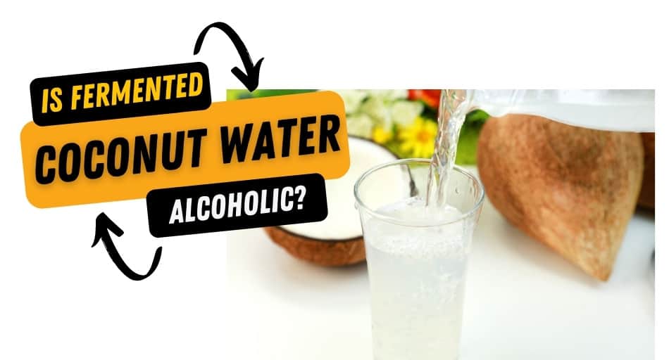 Is Fermented Coconut Water Alcoholic?