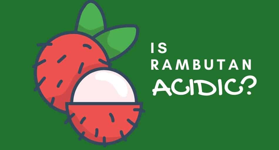 Is Rambutan Acidic or Alkaline