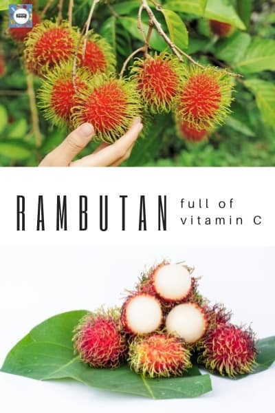 Is rambutan good for you?
