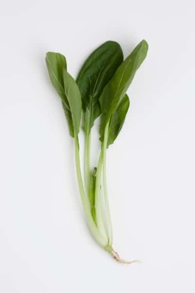 One cup of cooked mustard spinach contains 513 mg of potassium