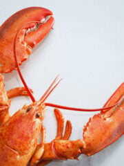 9 Best Lobster Substitutes For Any Occasion