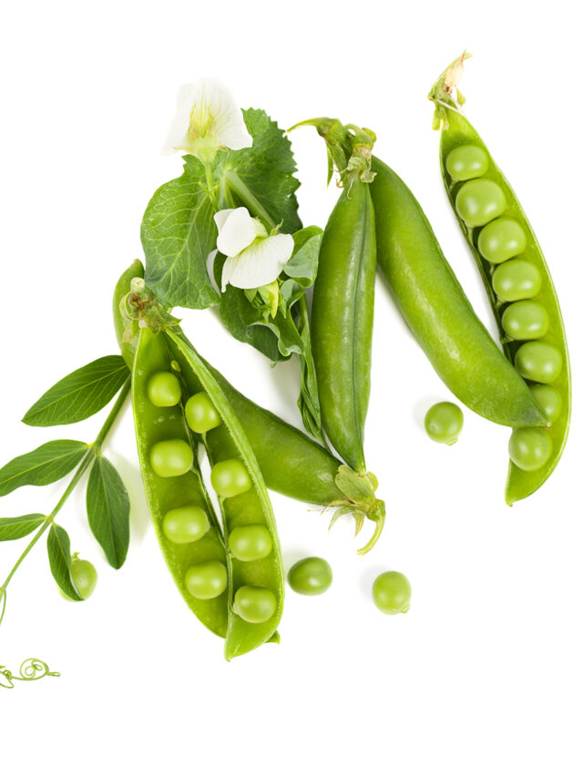 Are Peas High in Iron? Tastylicious