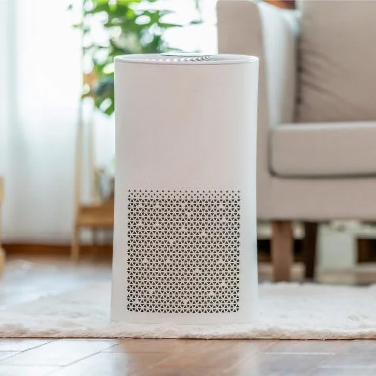 Molekule Vs Dyson Air Purifiers Battle of the Highend