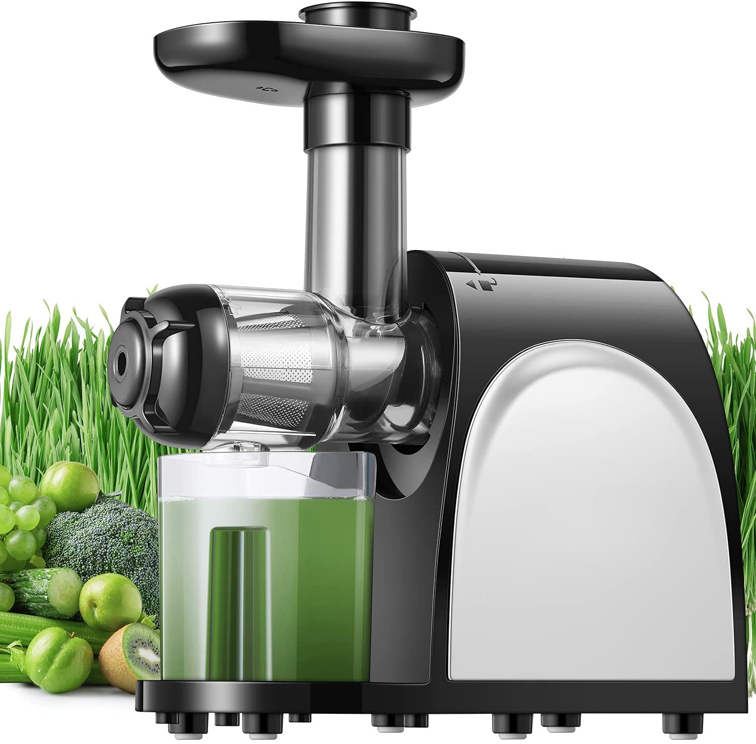 Hands Down The Best Cold Press Juicer Dollar for Dollar Tastylicious